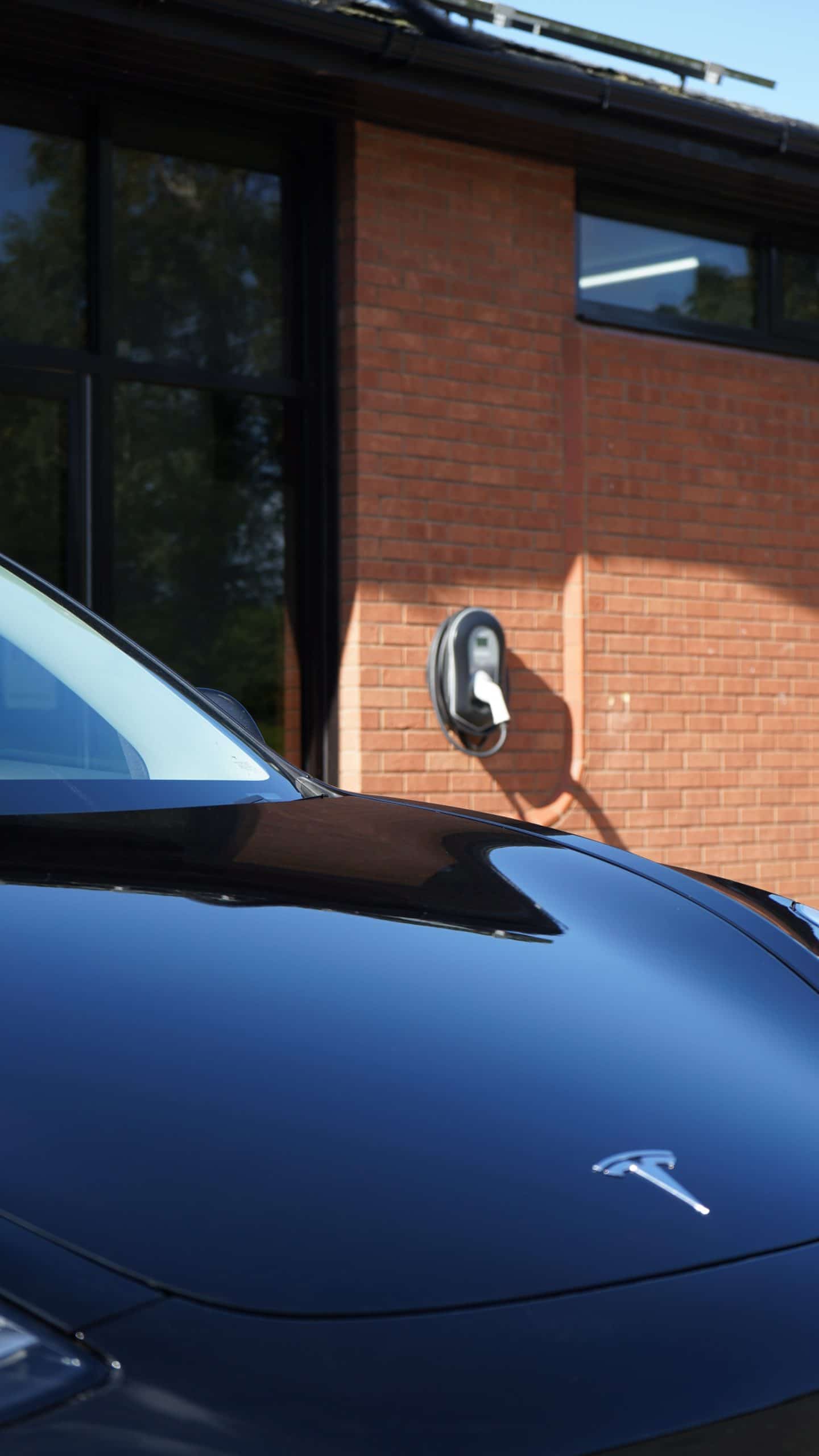 black Tesla hood ornament